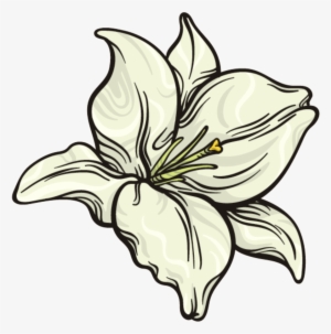 This Graphics Is Snow White Flower Png Transparent - Portable Network Graphics #60822 This Graphics Is Snow White Flower Png Transparent - Portable Network Graphics #60822