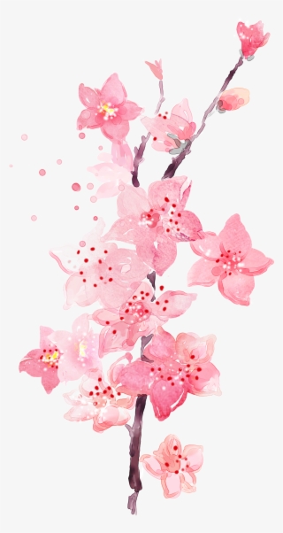 Watercolor Plum Blossom Transparent Decorative - Plum Blossom Png #60934