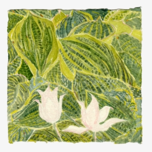 Watercolor - Pacific Treefrog #61125