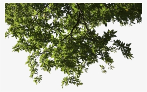 Exterior House Designs In India #61318