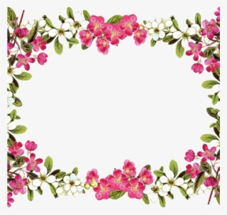 Flower Border Png Animal Clipart Hatenylo - Floral Borders And Frames #61495