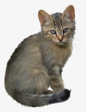 Cute Kitten Png Clipart - Real Kitten Clip Art #61690