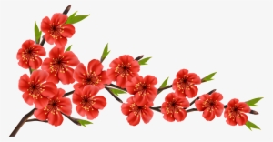 Red Spring Branch Png Clipart Image - Cherry Blossom Red Flowers #62350 Red Spring Branch Png Clipart Image - Cherry Blossom Red Flowers #62350