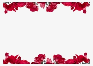 Flowers Borders Png - Floral Border Transparent Background #62473