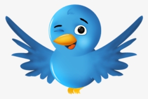 Cute Bird Transparent Background #63038