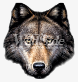 Wolf Head - Wolf Head Png Transparent #63244