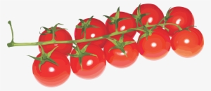 Cherry Tomatoes Transparent Background #63552