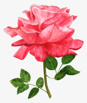 0, - Watercolor Flowers Png Transparent Clipart #63623
