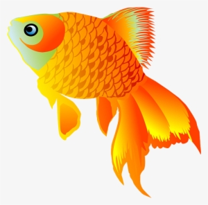 Goldfish #63814