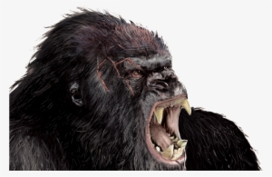 Free Icons Png - Godzilla King Kong Team Up #64534