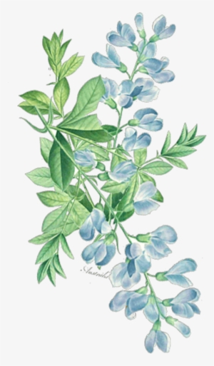 Ftestickers Watercolor Floral Leaves Greenery Corner #64943