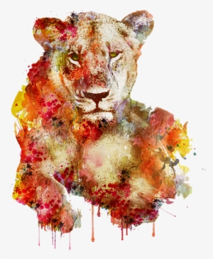 Bleed Area May Not Be Visible - Resting Lioness In Watercolor #65020