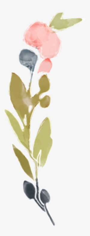 Mira & Graphic Watercolor & Swirls Example Image - Watercolor Painting #65109