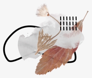 Watercolor Watercolors Flowers Flower Floral Paint - Thessaloniki #65845