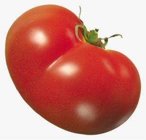 Download - Tomato Png #66692