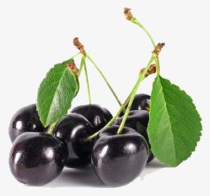 Black Cherry Png Image - Black Cherry Png #67204 Black Cherry Png Image - Black Cherry Png #67204
