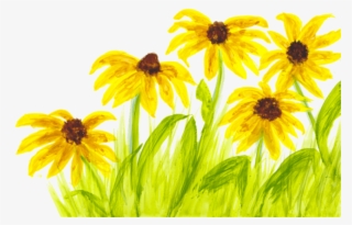 Local Artist Adds Flair To New Children's Book Series - Black-eyed Susan #67247