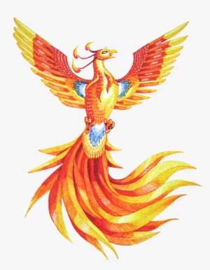 Phoenix Png Hd - Fawkes The Phoenix Drawing #67551