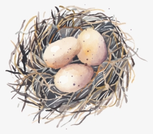 Drawing Egg Watercolor Clipart Royalty Free Library - Everyday Grace: 60 Devotions #67614