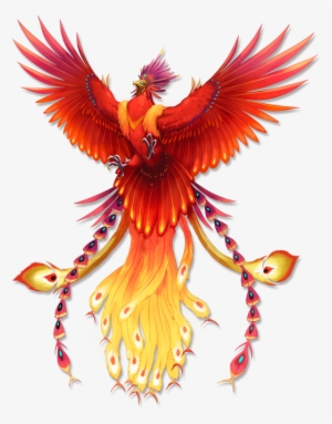 Secrets Of The Phoenix On Behance - Secrets Of The Phoenix #67635