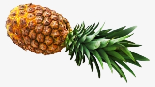 Free Png Pineapple Png Images Transparent - Pineapple Png #67795