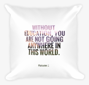 One Cruel Cookie Pillow - Chocolate Chip Cookie #67923