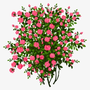 Bush Png #68035