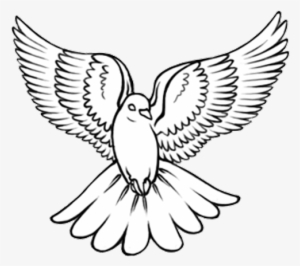 Black Outline Flying Dove Tattoo Design - Dove Drawing #68104 Black Outline Flying Dove Tattoo Design - Dove Drawing #68104