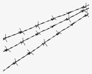 Barbed Wire Png - Transparent Barbwire #68187