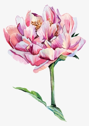 Trans Par En Cy - Illustration Flower #68269