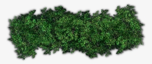 Bushes Png Pic - Bush Top View Png #68703