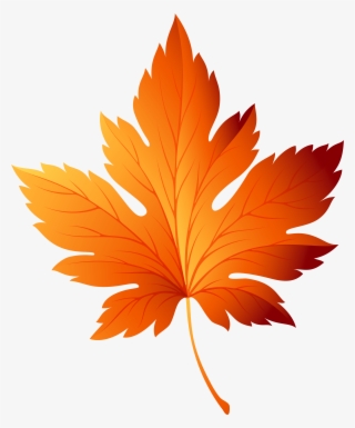 Graphic Freeuse Library Leaf Png Clip Art - Autumn Leaf Transparent Background #68847