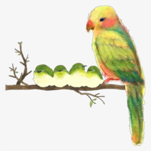 Ftestickers Watercolor Illustration Birds Parrots Cute - Watercolor Painting #68908