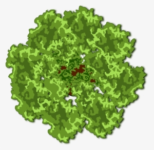 Tree Plan Png Download - Watercolor Tree Plan Png #69616