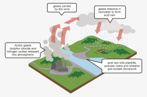 Acid Rain Diagrams #600326