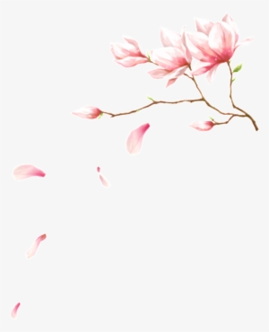 This Graphics Is Pink Flowering Petal Element About - Pink #600409
