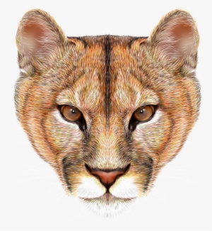 Фото, Автор Soloveika На Яндекс - Portrait Of A Mountain Lion Beige Printed Canvas Bag #601322