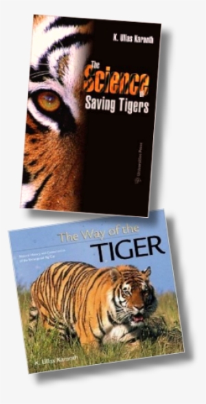 Thumbnail Of Book Covers - Science Of Saving Tigers #601421