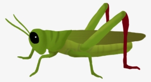 Svg Transparent Clipart Cricket Insect - Grasshopper Png #601776
