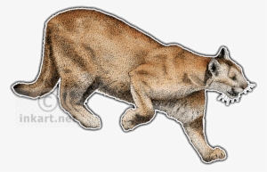 Mountain Lion Decal - Ocelot Wild Cats North America #601908
