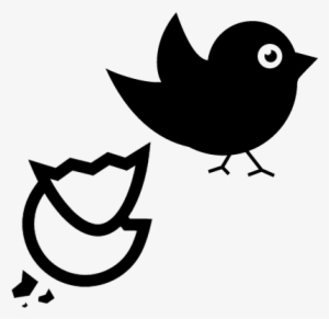 Black Bird And Broken Egg Vector - Dibujo Blanco Y Negro Pajaro #601935