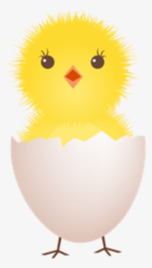 Chicken Egg Clipart - Clip Art Chicken In Egg #602393