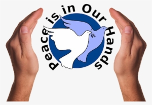 00 Noon, In All Time Zones, All Peoples Are Encouraged - Hands With A Dove #604686