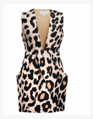 Alesha Dixon Dress Finders Keepers Paperships Dress - Animal Print Dress Png #605160