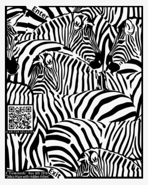 Zebra Color Printing Horse Animal Print - Zebras Hidden #605162