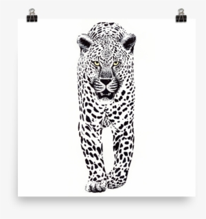 Leopard Ink Black And White Wall Art - African Leopard #605242
