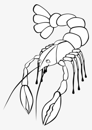 Shellfish - Crawfish Clip Art #605364