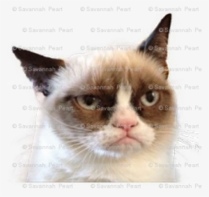 Grumpy Cat Back - Grumpy Cat Band Meme #605393