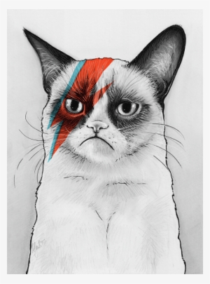Click And Drag To Re-position The Image, If Desired - Grumpy Cat Bowie #605420