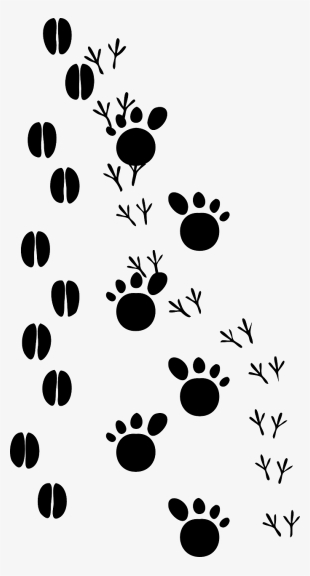 Animal Prints Clip Art At Clker - Animal Footprints Clip Art #605485